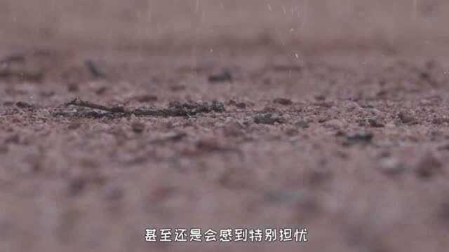 为何沙漠连续下雨24小时,是一件很危险的事?沙漠居民说出原因