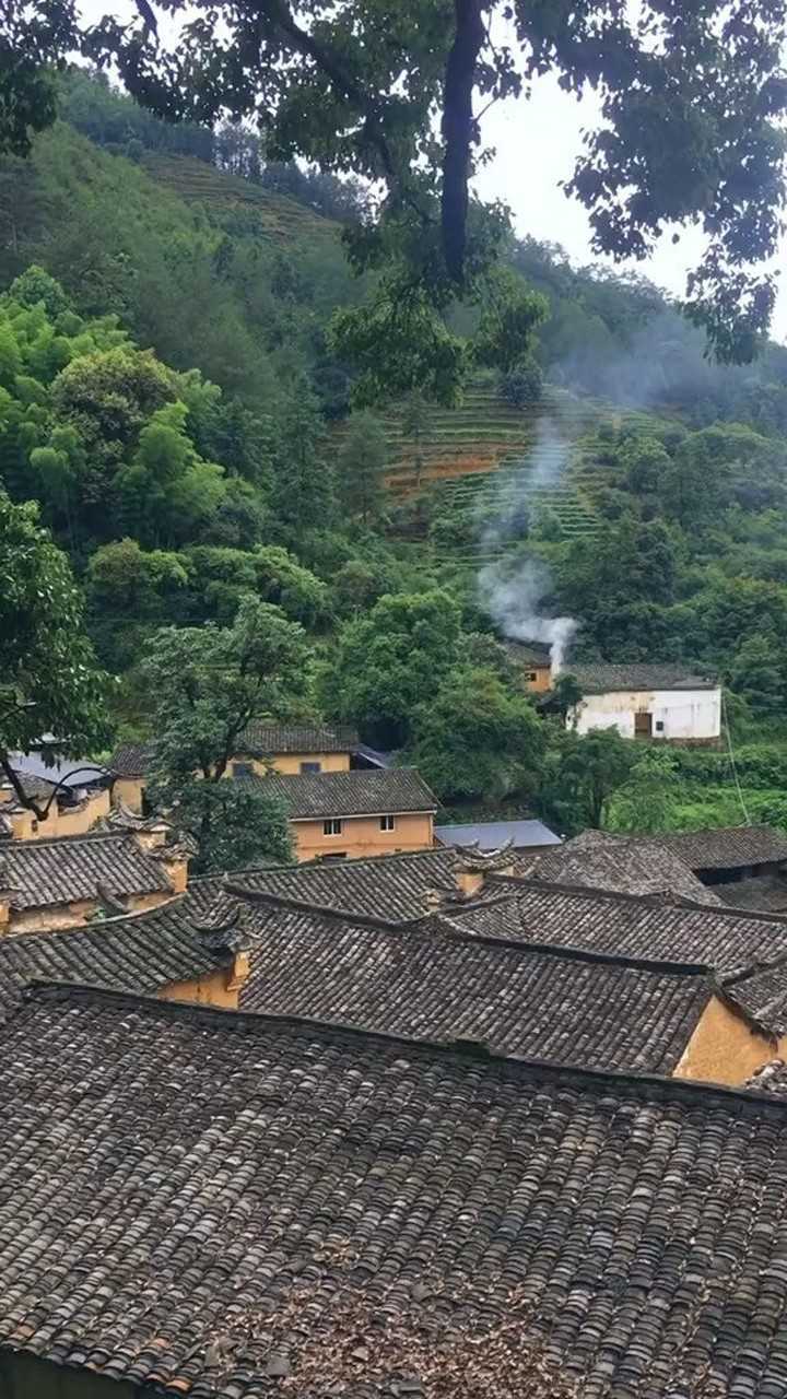 炊烟袅袅,鸟语花香,绿树成荫,人间美景