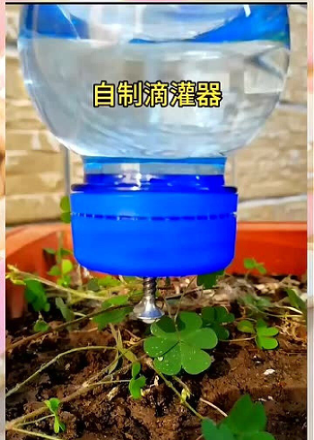 自制浇花滴水器图片