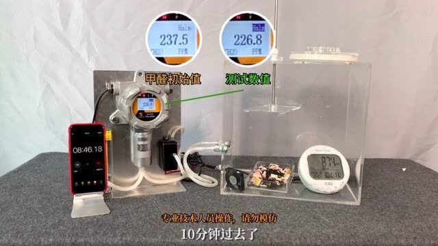 柚子皮和炭包去甲醛是骗局?小伙用实验证明怎样才能真正去甲醛