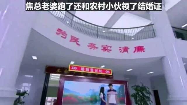 双喜盈门大结局:焦总老婆跑了,还和农村小伙领了结婚证,打脸了