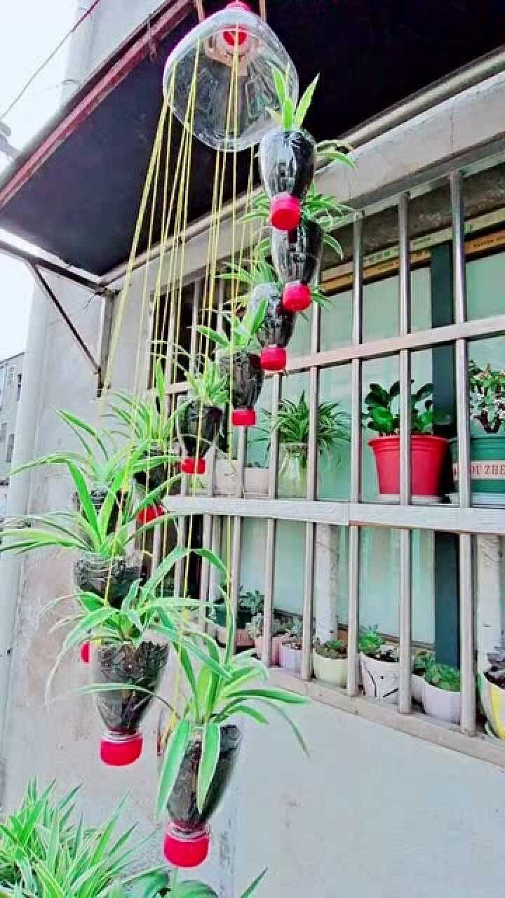 手艺人做的矿泉水瓶子吊兰风铃很美又有趣