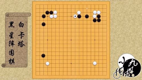 世界人工智能围棋大赛 AI神奇的弃子套路，同为AI都中招