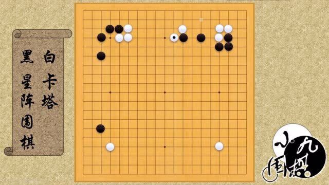 世界人工智能围棋大赛 AI神奇的弃子套路,同为AI都中招