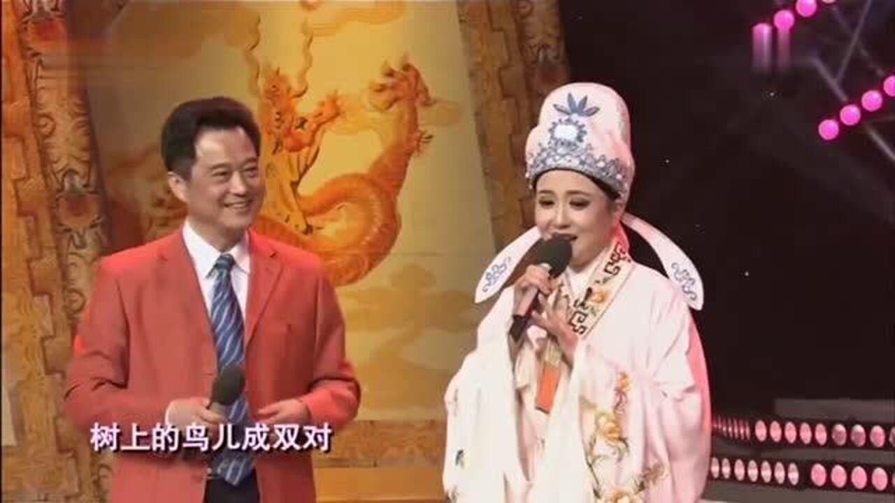 黄梅戏天仙配选段表演陶慧敏孙启新