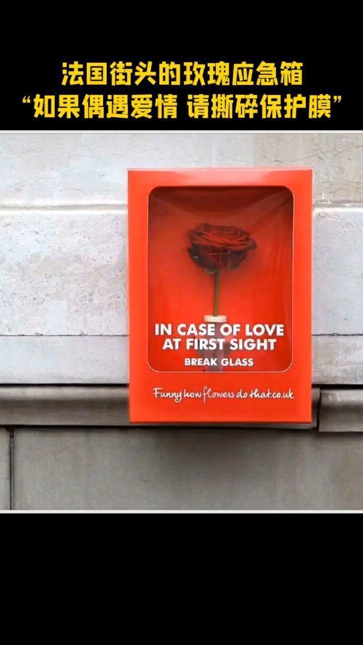 法国街头的玫瑰应急箱如果偶遇爱情请撕碎保护膜