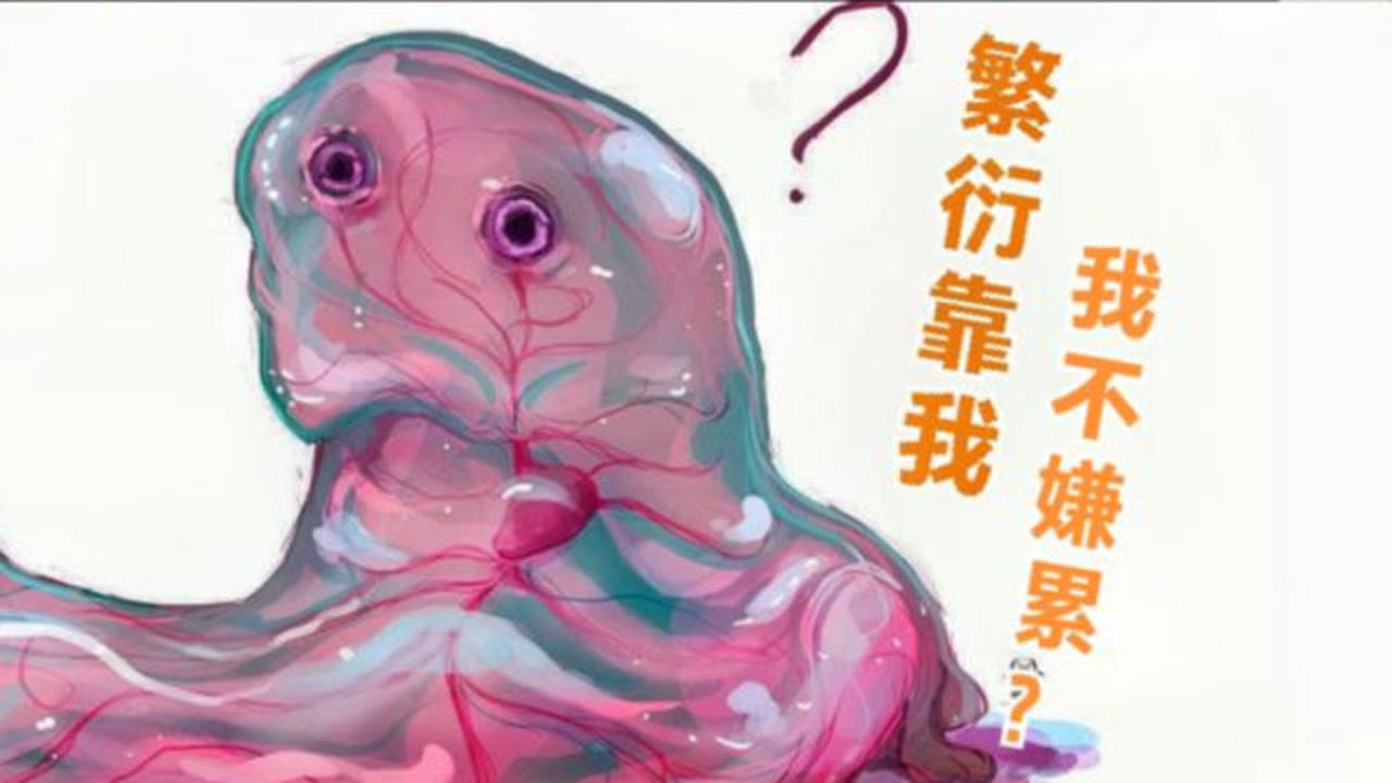 宝可梦生蛋分组之谜,无性别的要通过百变怪繁衍?想想就带劲_手机搜狐网 宝可梦生蛋分组之谜,无性别的要通过百变怪繁衍?想想就带劲_手机搜狐网
