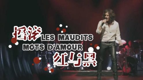 摇滚红与黑 Les maudits mots d'amour 中法字幕