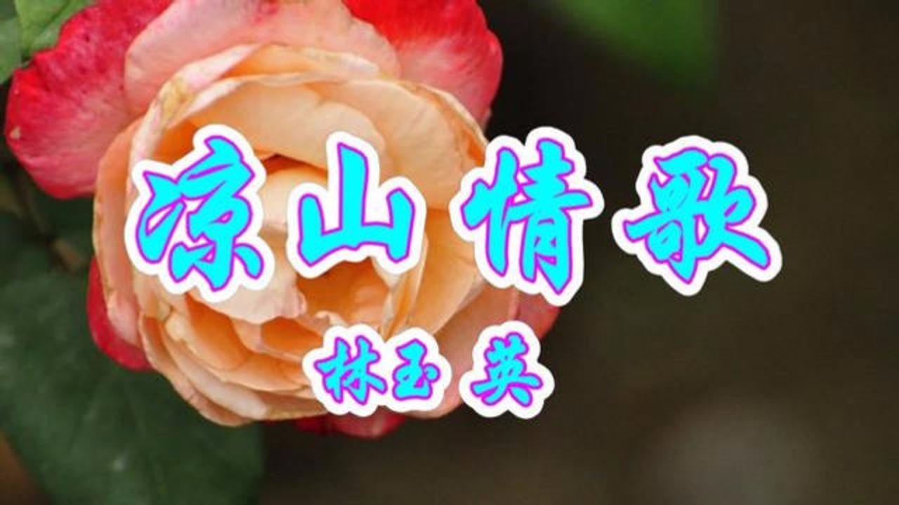 老歌欣赏,林玉英演唱《凉山情歌》好听醉人