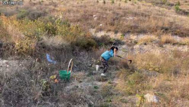 野外发现土洞,小媳妇用鞭炮轮番炸洞,炸出的东西让她直冒冷汗