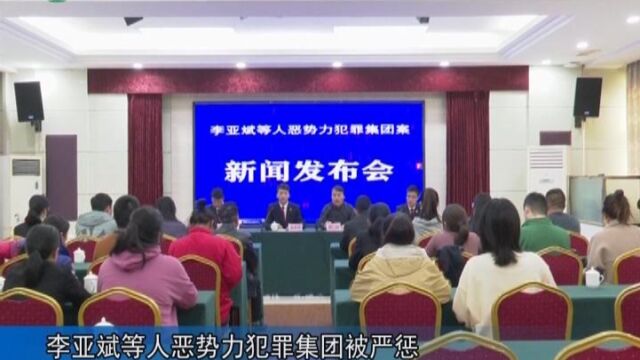 李亚斌等人恶势力犯罪集团被严惩