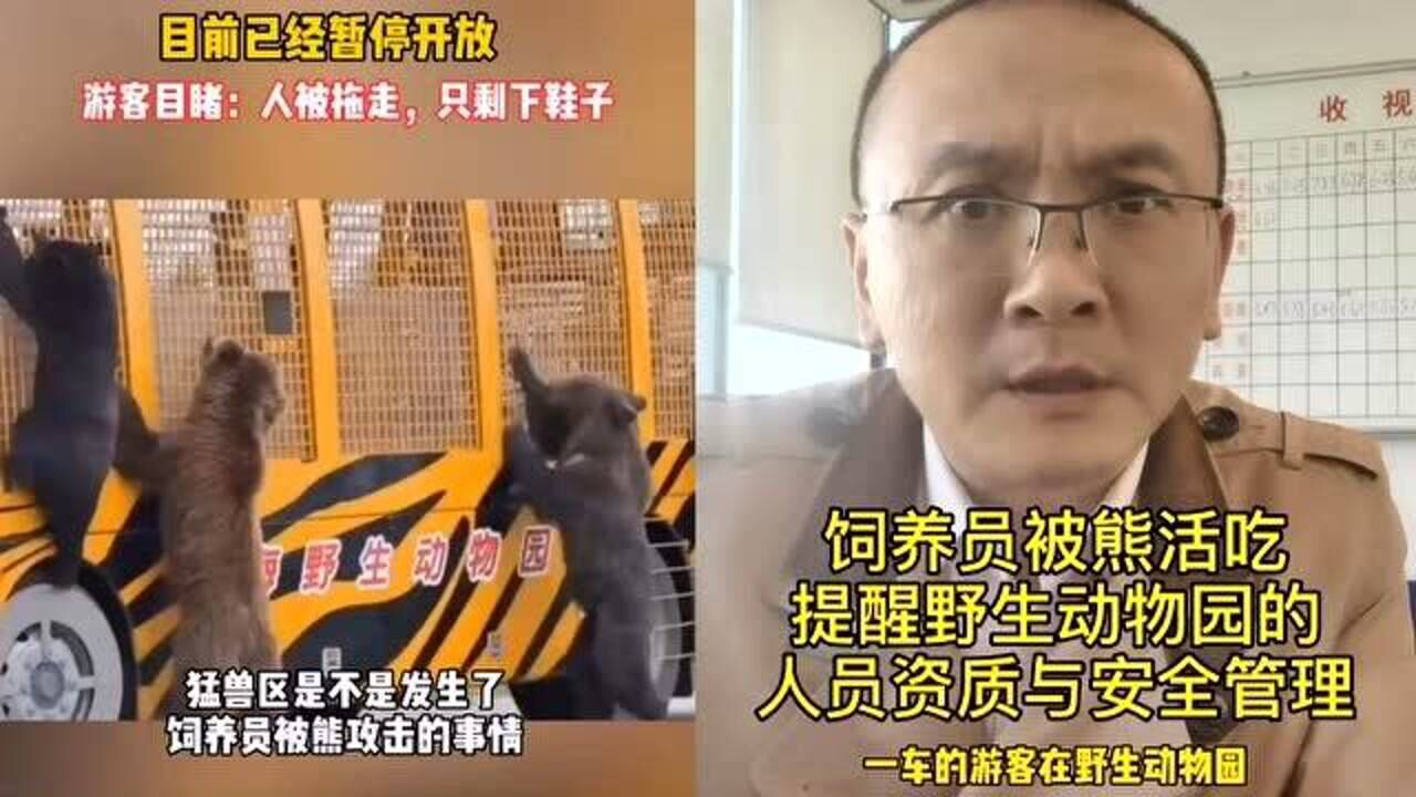 上海野生动物园一饲养员被熊活吃一车游客眼睁睁看着无可奈何