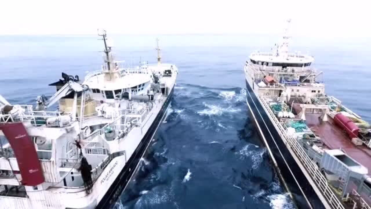双拖网渔船作业,,从深海捕鱼到打包成型,一气呵成,中国科技简直太牛了_高清1080P在线观看平台_腾讯视频