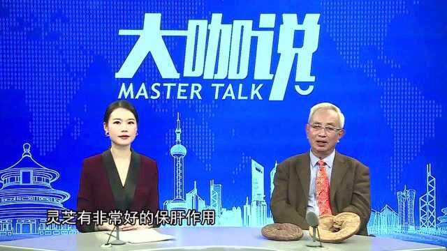 听林志彬教授谈:灵芝对肝有哪些保护作用?