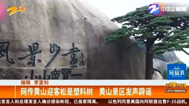 网络谣言不可信 网传黄山迎客松是塑料树 黄山景区发声辟谣