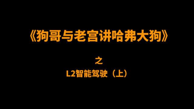 “智能驾驶配置”术语接龙,你能过几关?