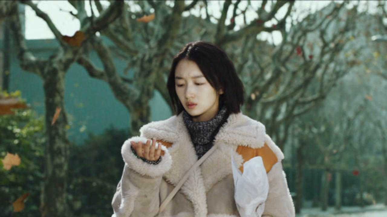 抖音热歌司南的冬眠伤感治愈神曲一直循环听