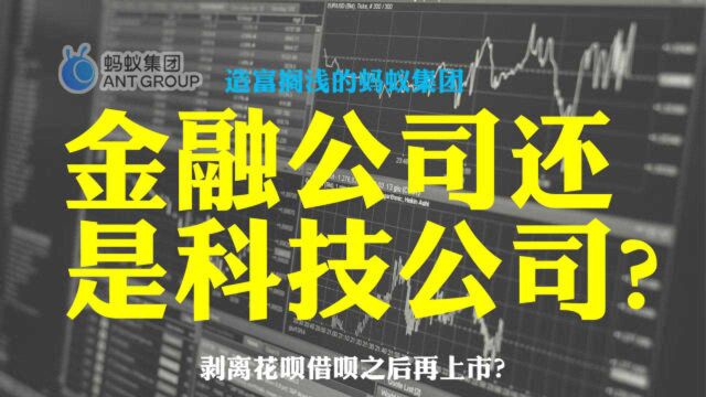 上市折戟,蚂蚁到底是金融公司还是科技公司?要剥离花呗借呗吗?