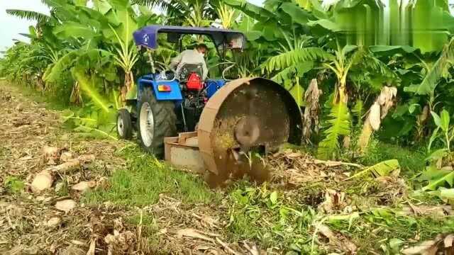 农民大哥新发明的香蕉砍树机,下地试试性能,这改装到位