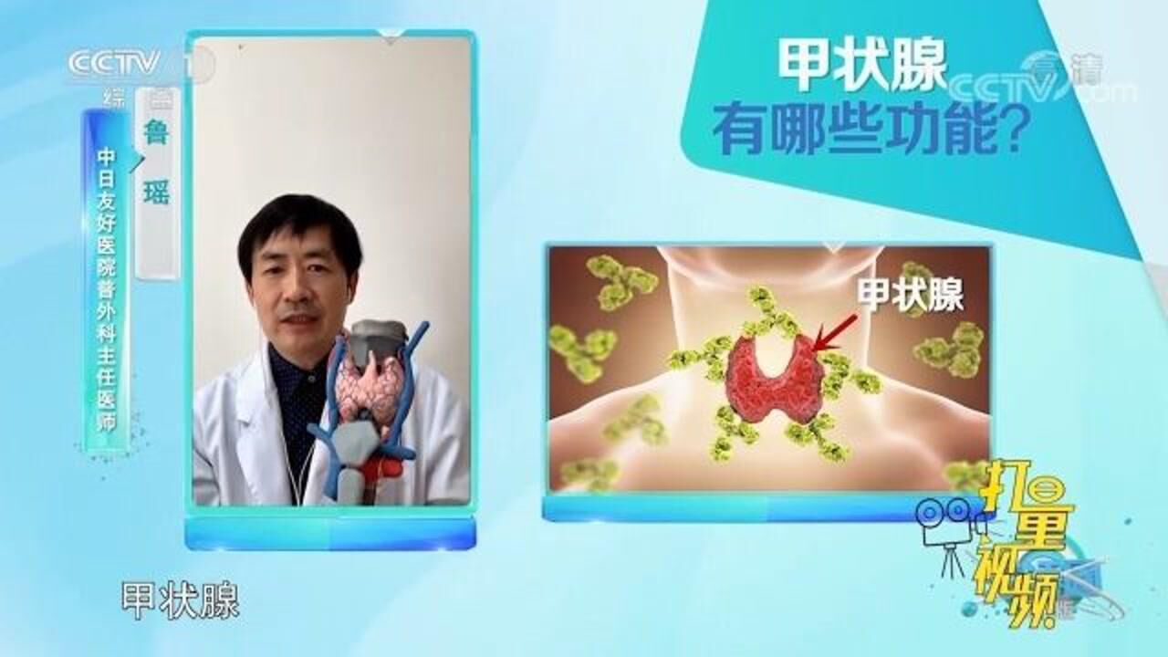 甲状腺功能减退不容小觑!会导致腿肿、寒颤,问题真不少_高清1080P在线观看平台_腾讯视频