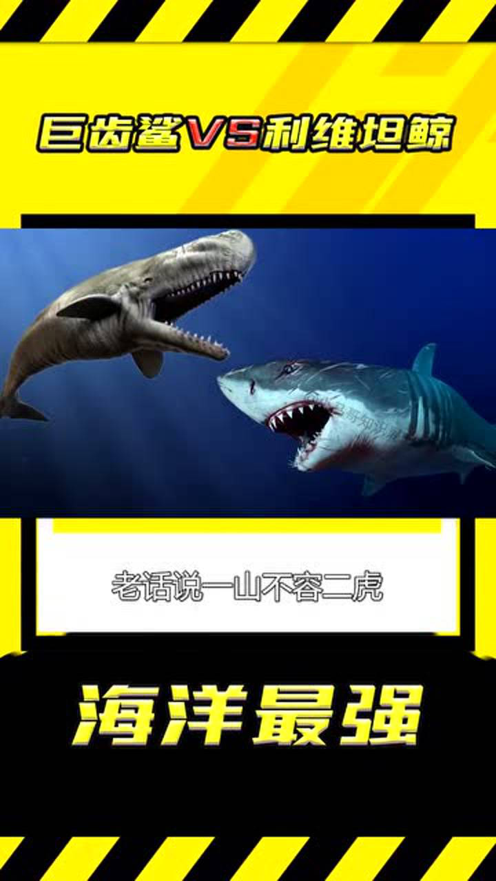 史前生物大乱斗梅氏利维坦鲸vs巨齿鲨看看谁更厉害