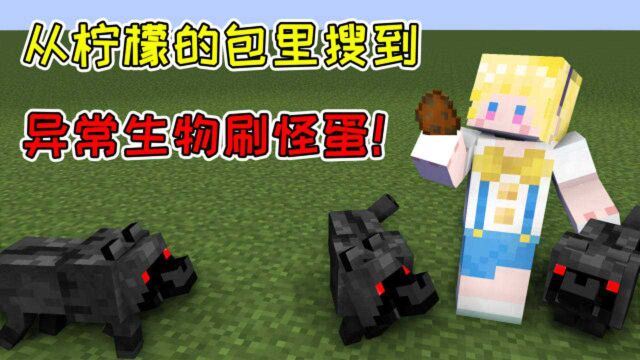 MC异常见闻18:从柠檬的包里搜到刷怪蛋!异常生物竟是本地动物?