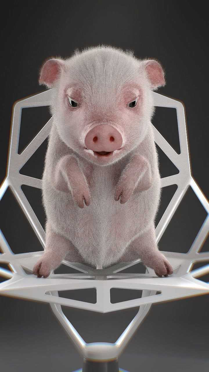 你笑起来真好看像春天的花一样猪猪希望大家每天都开心