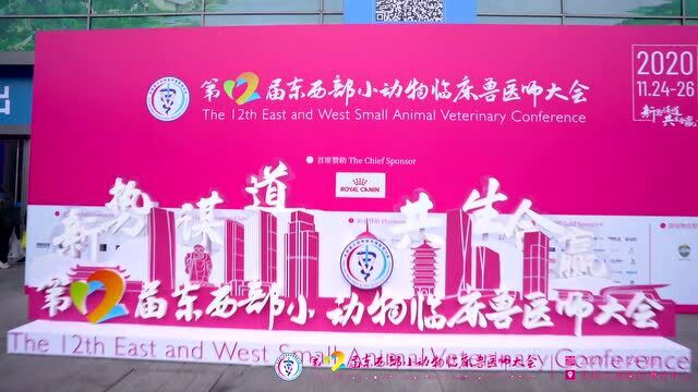 第十二届东西部小动物临床兽医师大会【11月25日花絮】