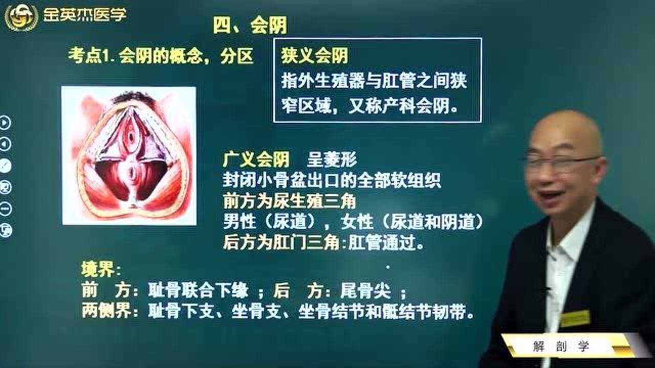 临床解剖学：何为会阴？会阴的概念及其分区都在这里，记忆收藏。_高清