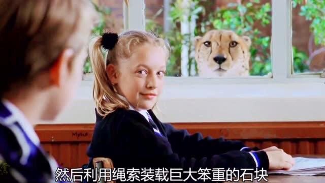 我把你当花猫养,你竟然长成猎豹,小主人的宠物到学校找主人了