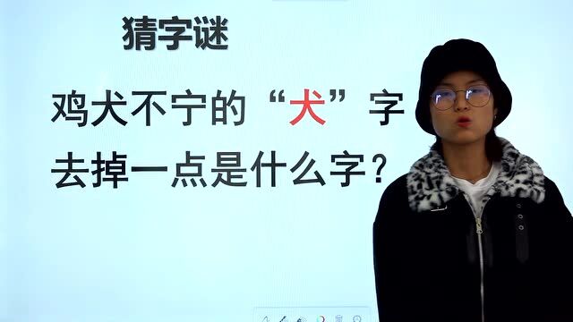 猜字谜:“犬”字去掉一点,不猜大,应该猜什么字