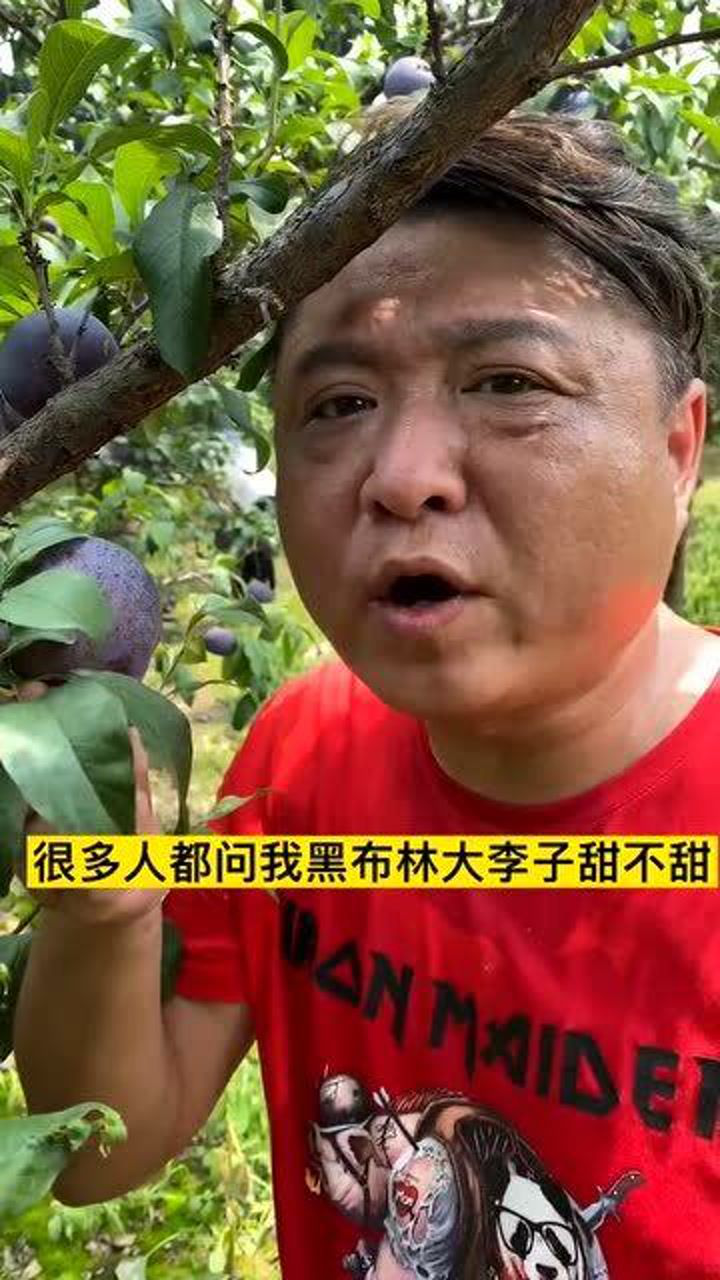 很多人都問我黑布林大李子甜不甜看我的表情你就知道甜不甜了