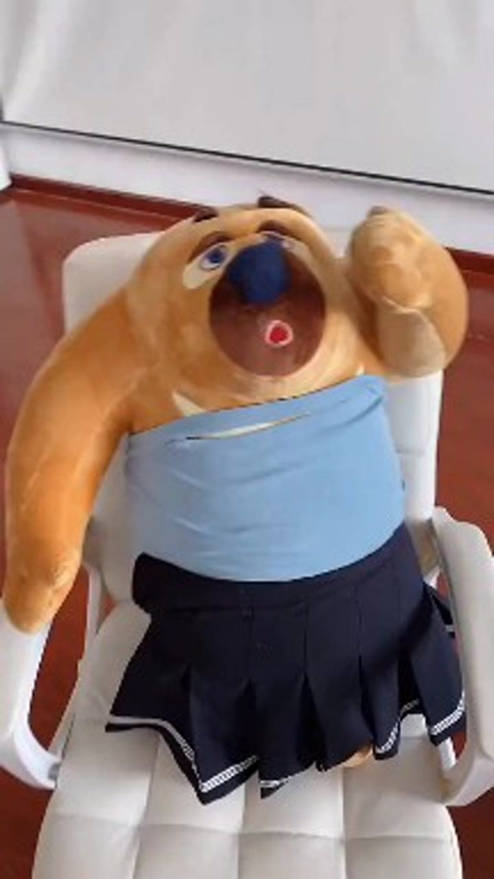 大早上发现熊二偷穿我的小裙子