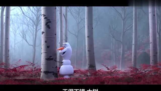 呆萌雪宝可爱合集来啦!一个人也可以很棒