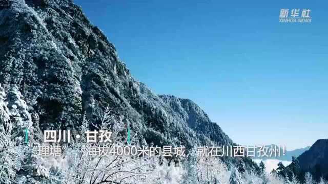 文化新观察|丁真的“真”你get到了吗?