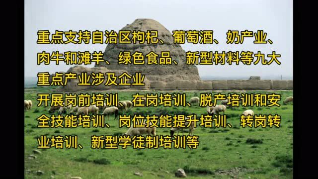 宁夏出台2021年职业技能提升行动实施方案 重点支持九大产业涉及企业、贫困劳动力、返乡农民工及高校学生