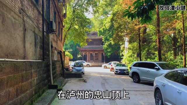 探寻大泸州江阳区忠山奎星阁