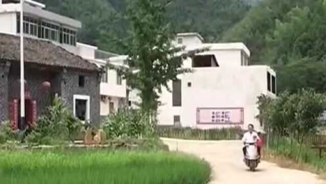 男子出车祸在家 农技站站长建议养殖 四年过去了依旧经常叮嘱