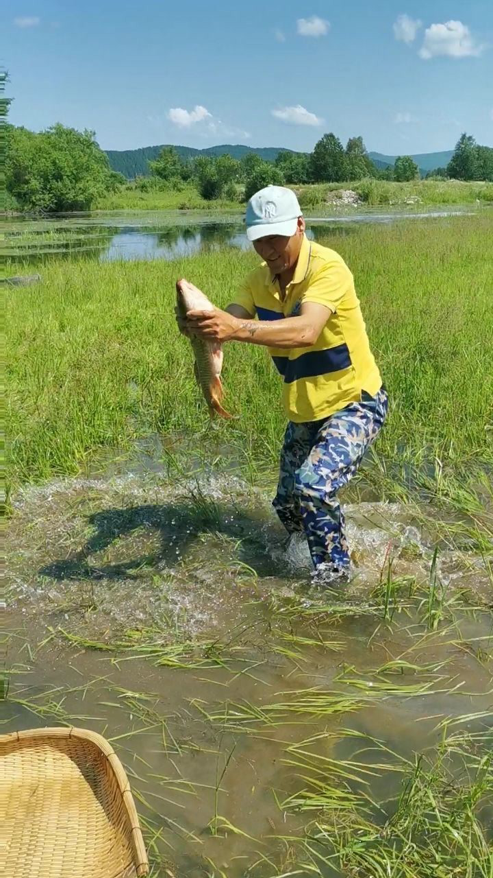 草塘里抓大鱼