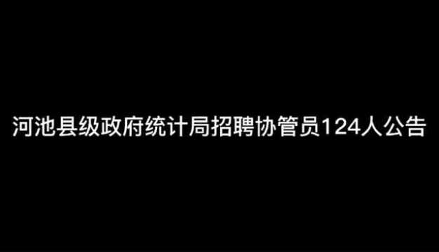 2020河池县级政府统计局招聘协管员124人公告