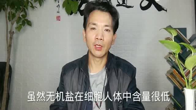 人体每天必需摄取的40多种营养素,缺一个都不行!