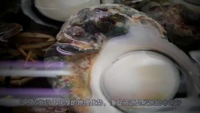 深海巨虱是什么味道的?日本厨师展现刀工料理,一口下去很享受!