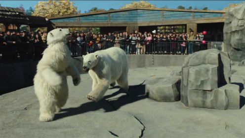 秘密动物园：男子不相信有真北极熊，冲上去跟它对峙，不料那是真熊