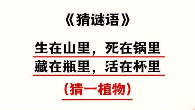 谜语:生在山里,死在锅里,藏在瓶里,活在杯里(猜一植物)