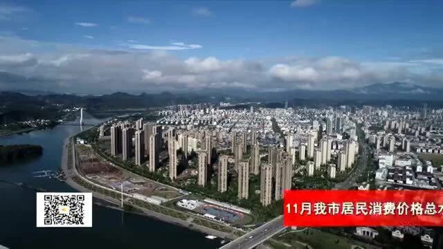 11月兰州市居民消费价格总水平同比上涨0.5%