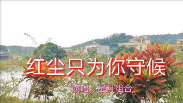 网络歌曲《红尘只为你守候》星月组合,歌声感人,句句深情