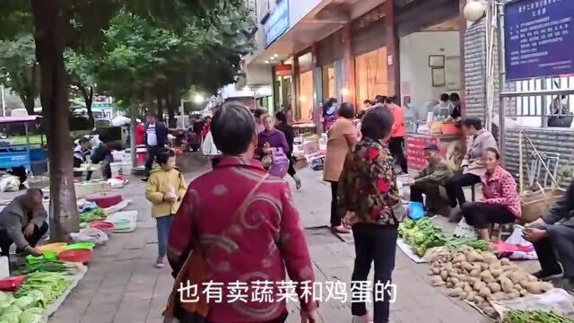 实拍东安县城舜皇路的马路边菜市场,占道经营,免工商登记