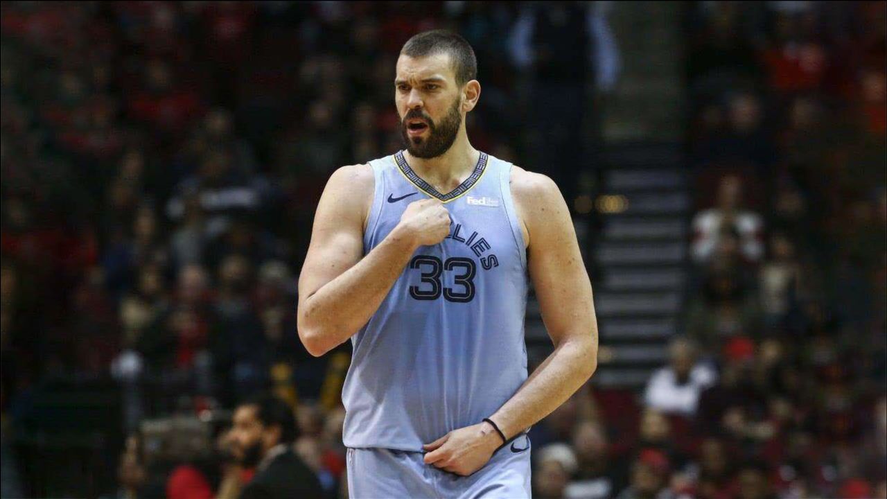 非典型性欧洲中锋马克加索尔灰熊时期五佳球