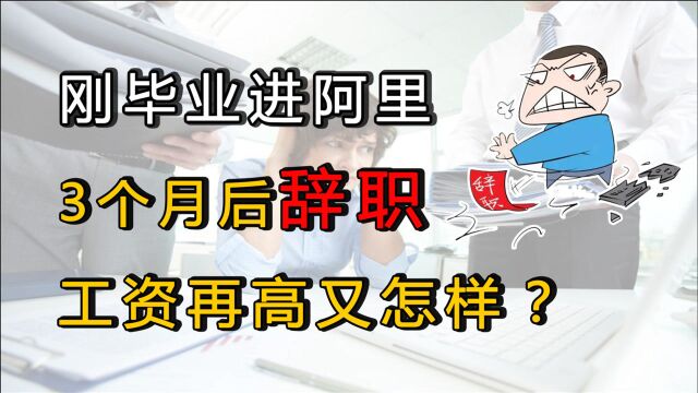 刚毕业进阿里3个月后辞职:每天上班都想辞职,工资再高又怎样?