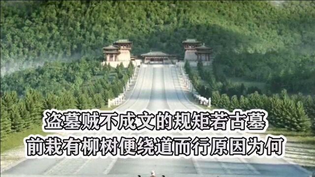 盗墓贼不成文的规矩,若古墓前栽有柳树便绕道而行,原因为何?